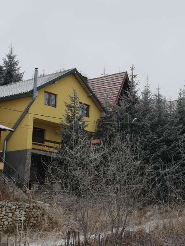 Дома для отпуска Vila CarpaticTour (lângă pârtia M1) Рынка-39
